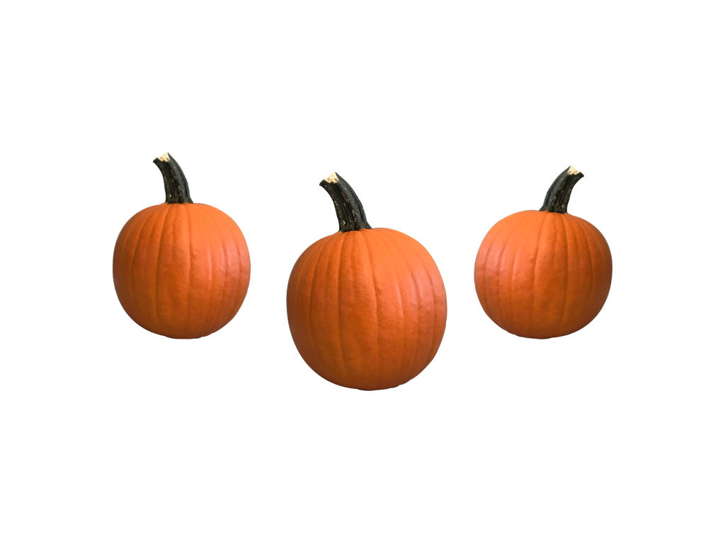Pie Pumpkins