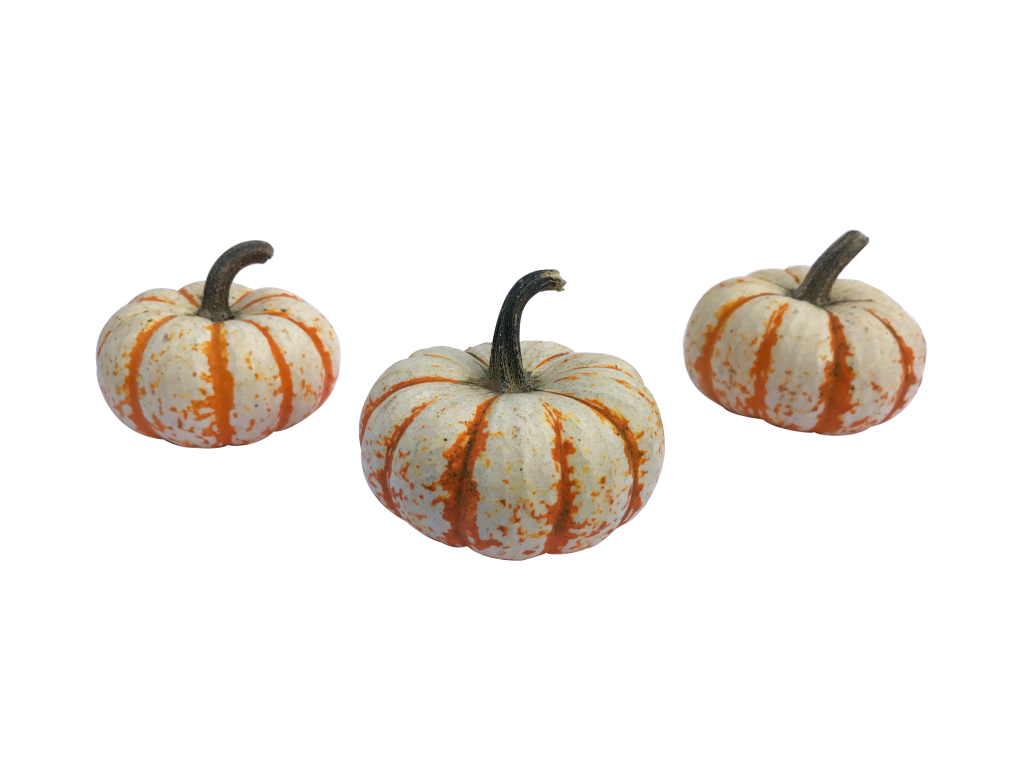 Tiger Striped Pumpkins