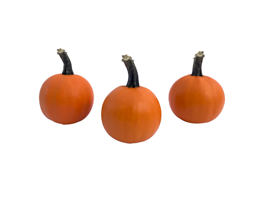 Wee-B-Little Pumpkins